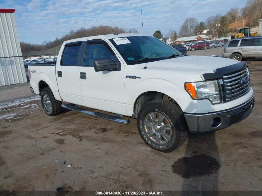 2010 FORD F-150 LARIAT/FX4/XL/XLT