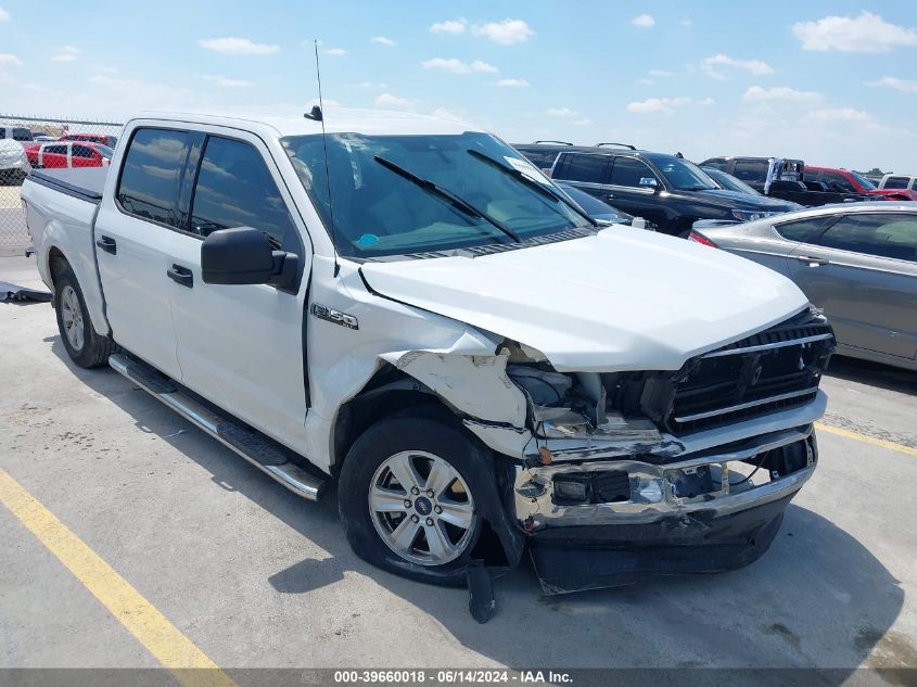 2019 FORD F-150 XLT