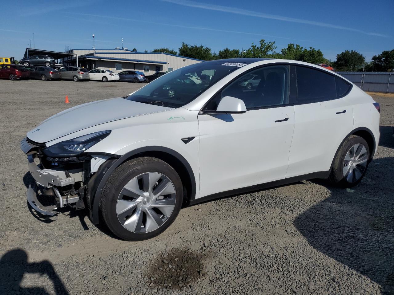 2023 TESLA MODEL Y