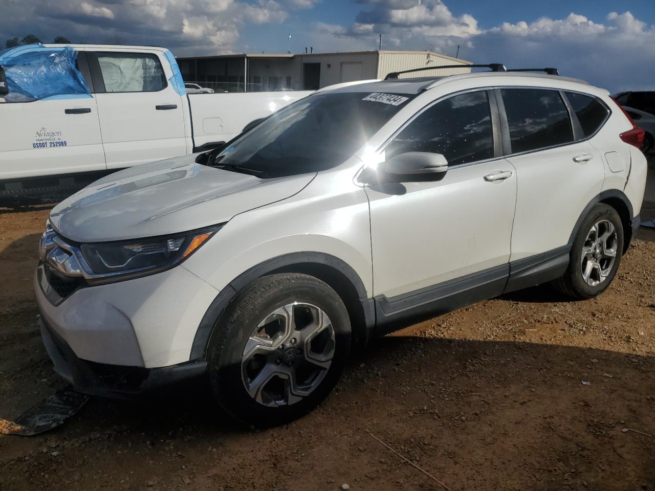 2019 HONDA CR-V EXL