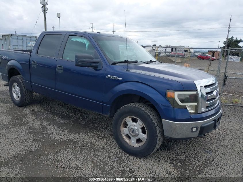 2010 FORD F-150 XLT