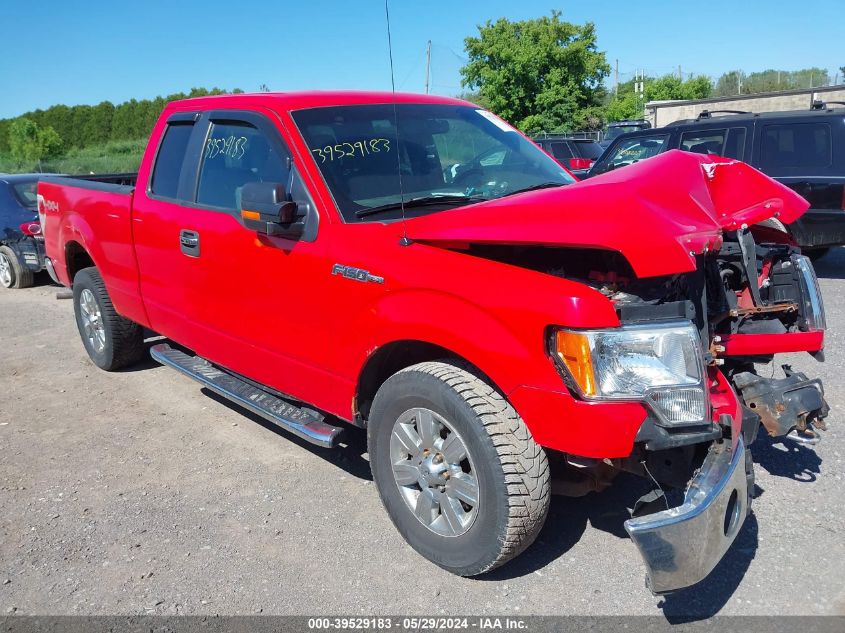 2012 FORD F-150 XLT