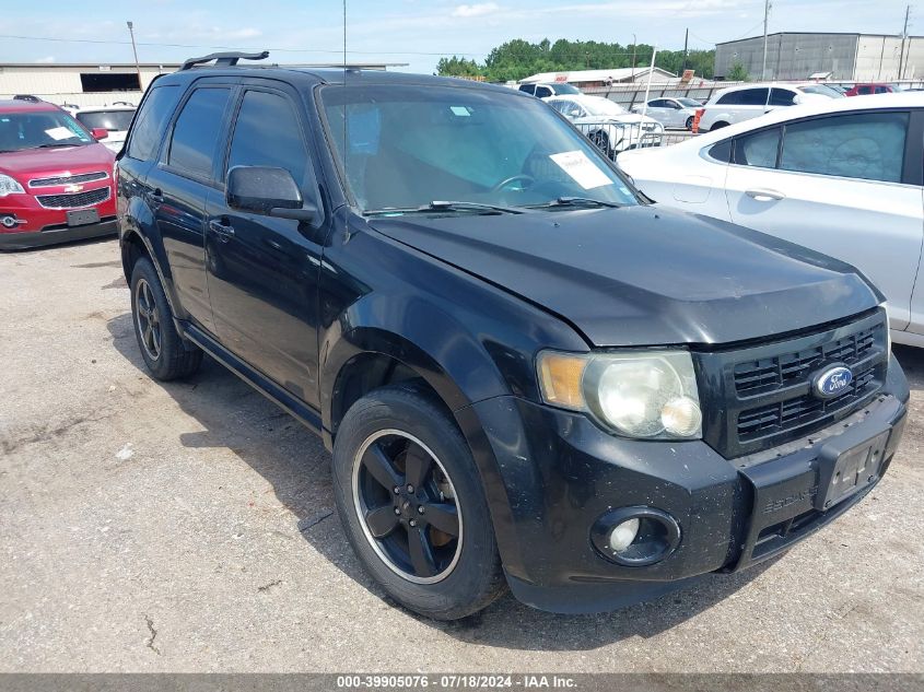 2010 FORD ESCAPE XLT