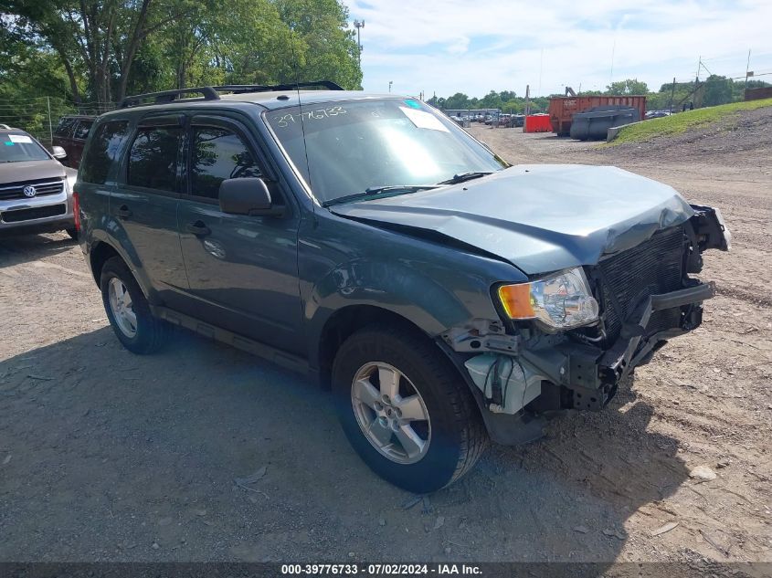 2011 FORD ESCAPE XLT