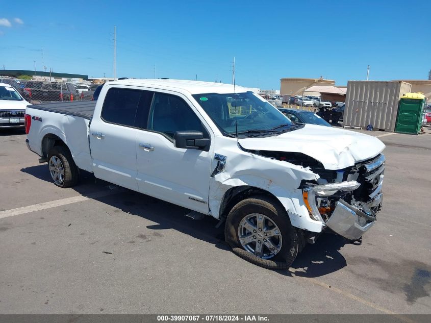 2023 FORD F-150 XLT