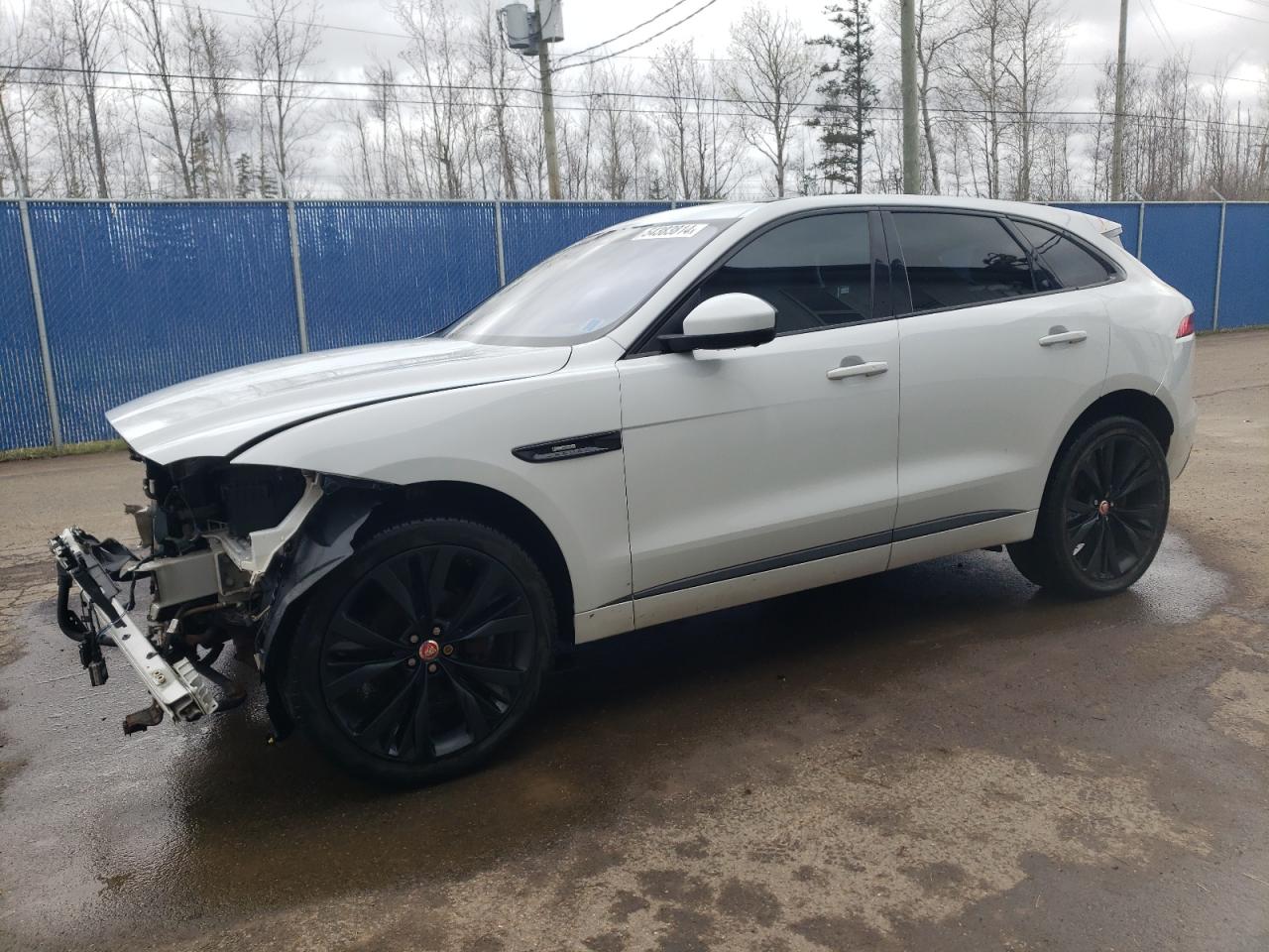 2019 JAGUAR F-PACE R - SPORT