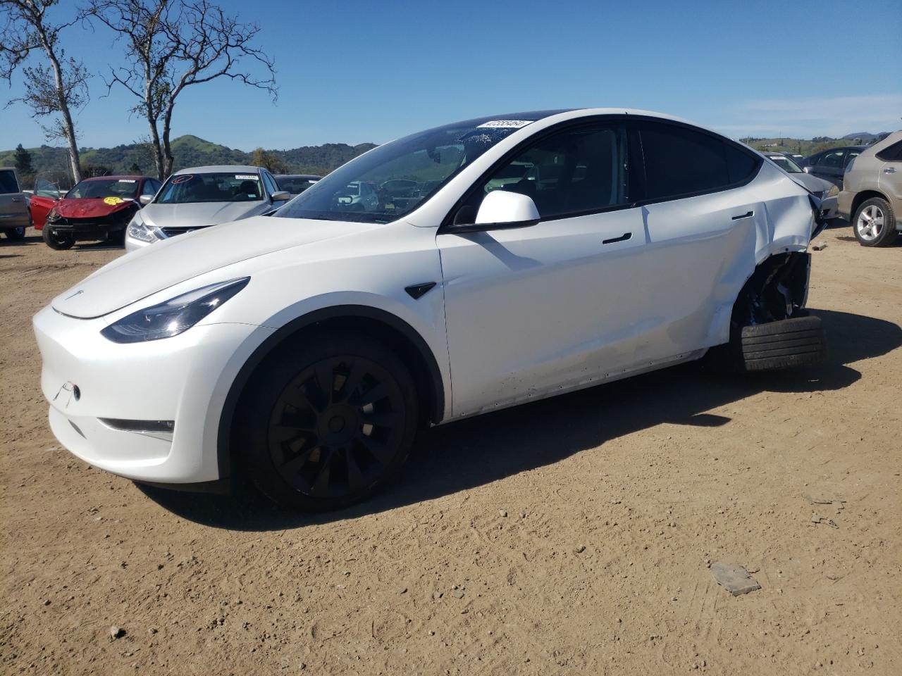 2023 TESLA MODEL Y