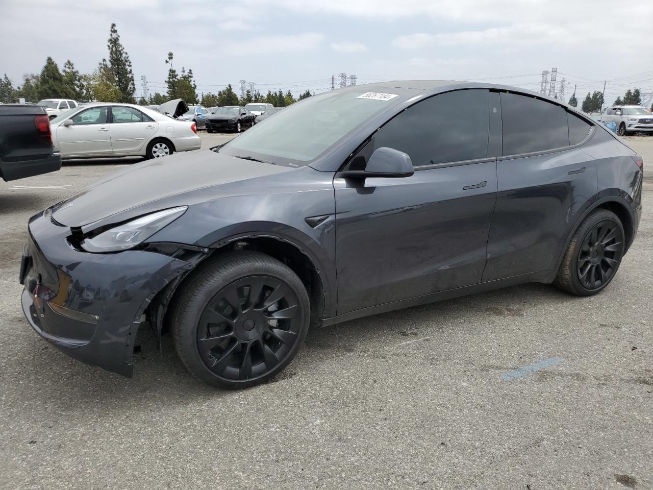 2024 TESLA MODEL Y