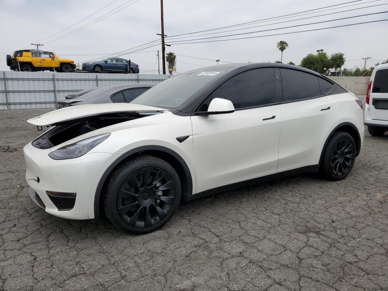 2023 TESLA MODEL Y