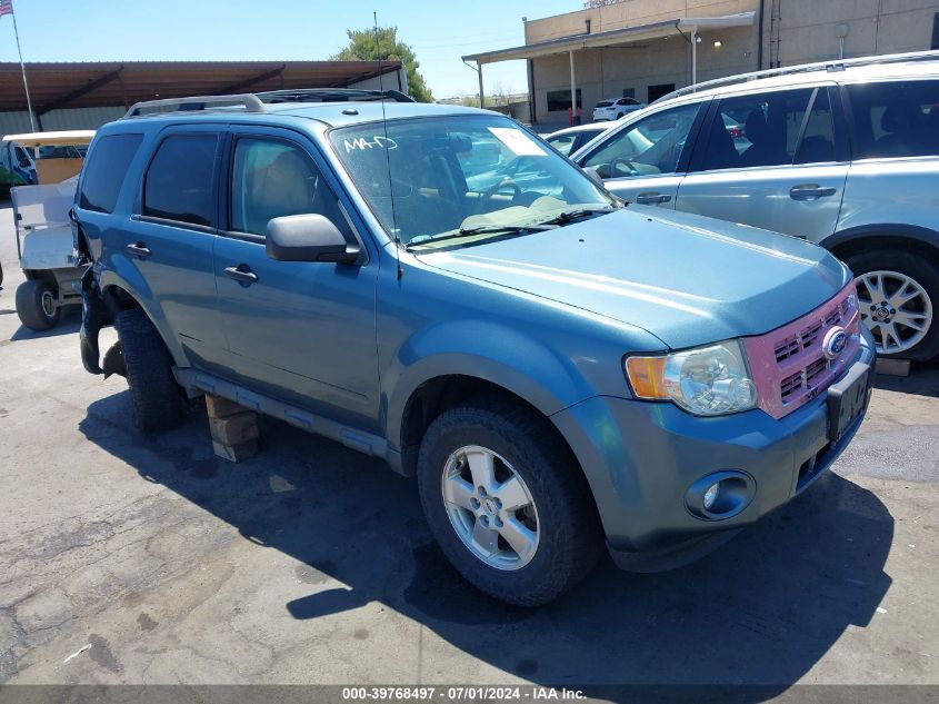 2011 FORD ESCAPE XLT