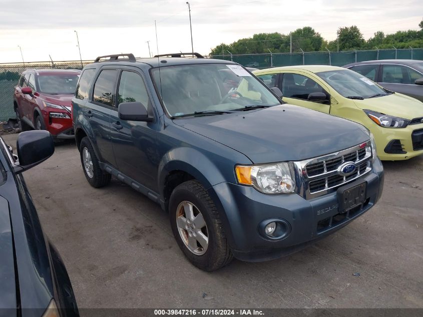 2011 FORD ESCAPE XLT