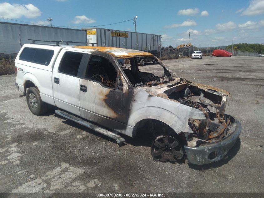 2014 FORD F-150 XLT