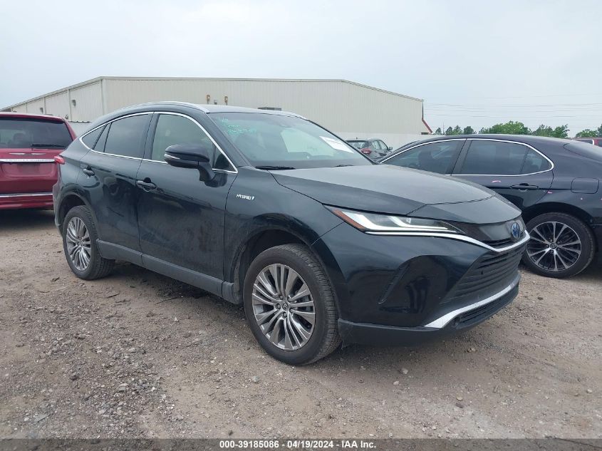 2021 TOYOTA VENZA XLE