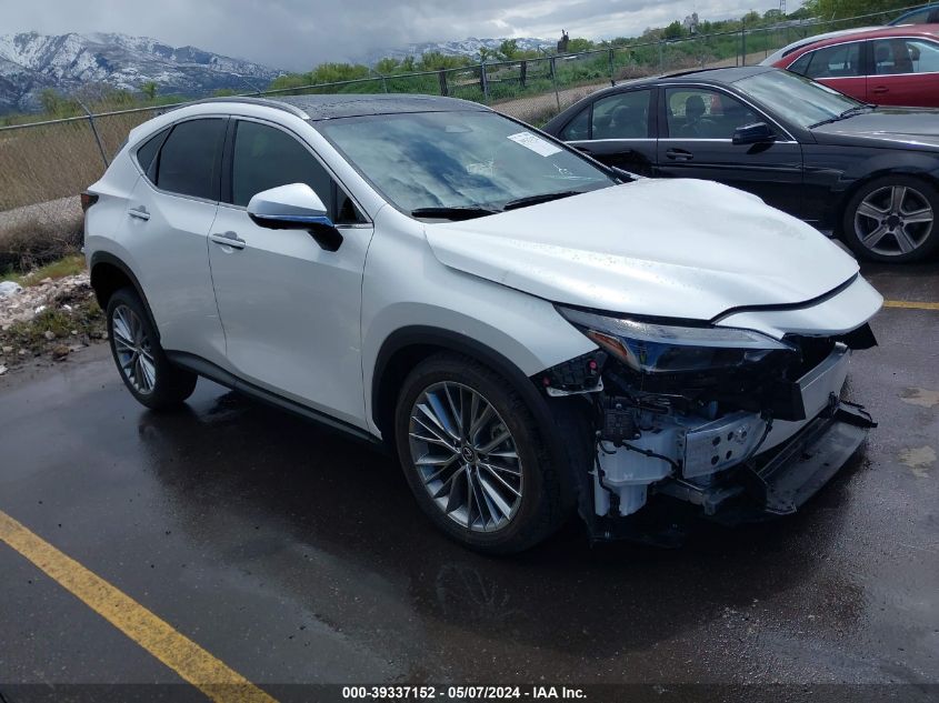 2024 LEXUS NX 350H LUXURY