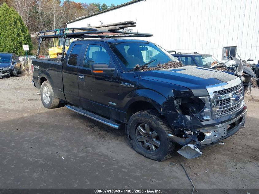 2013 FORD F-150 XLT