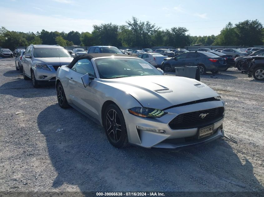 2019 FORD MUSTANG