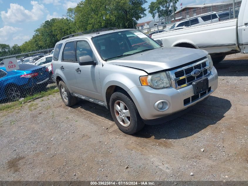 2010 FORD ESCAPE XLT