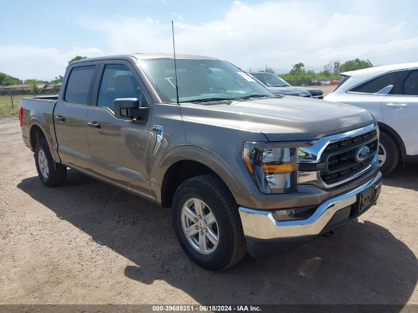 2023 FORD F-150 XLT