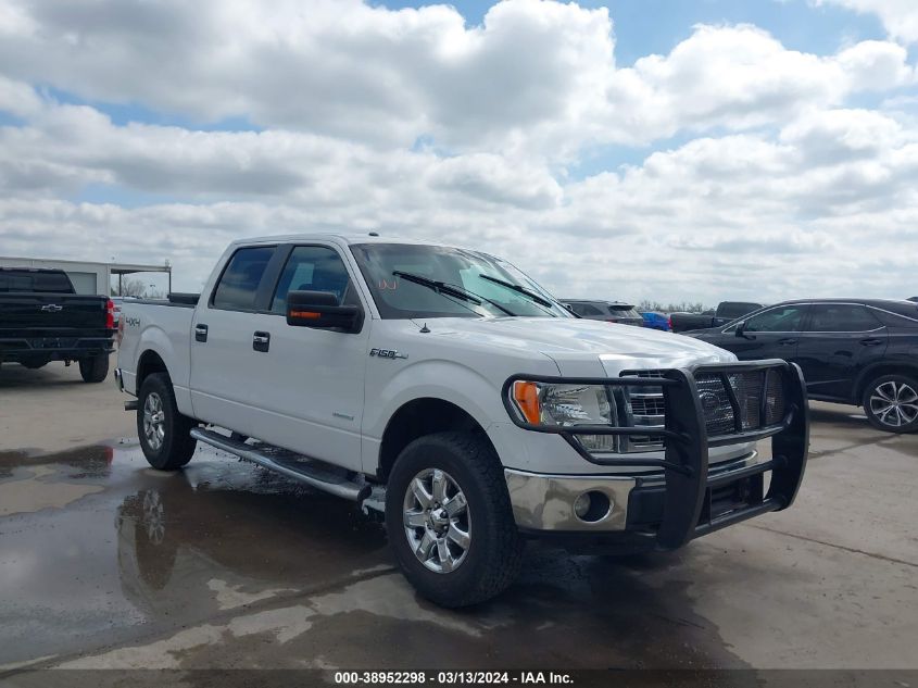 2013 FORD F-150 XLT