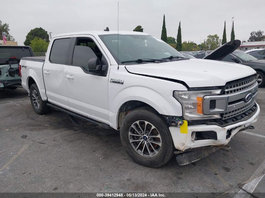 2019 FORD F-150 XLT