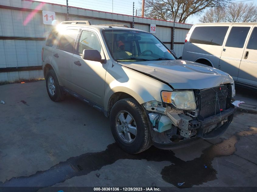 2010 FORD ESCAPE XLT