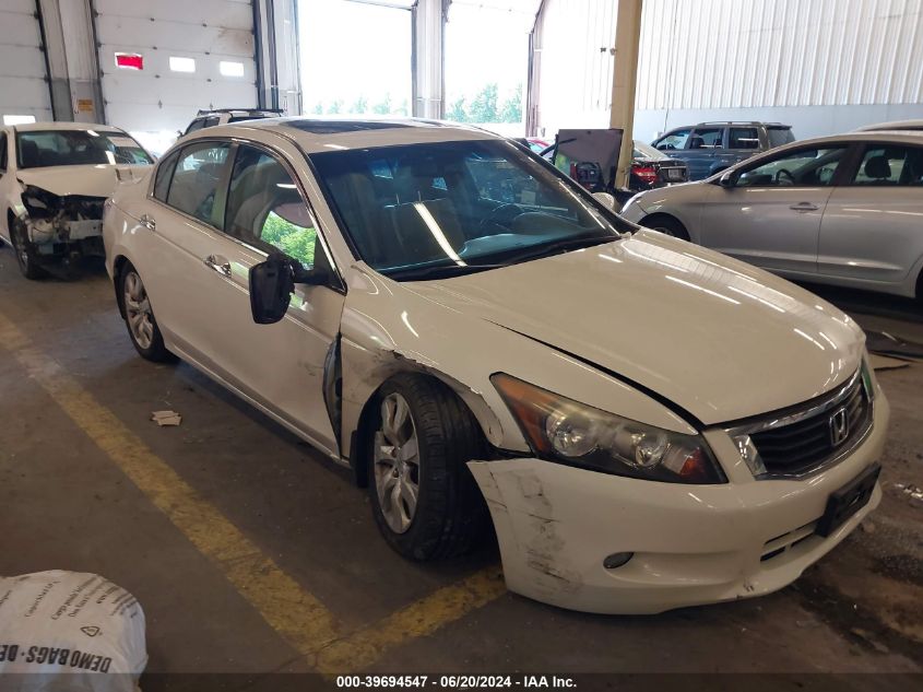 2010 HONDA ACCORD EXL