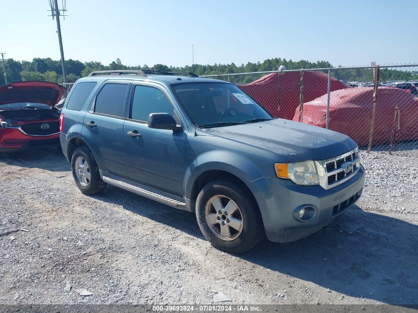 2011 FORD ESCAPE XLT