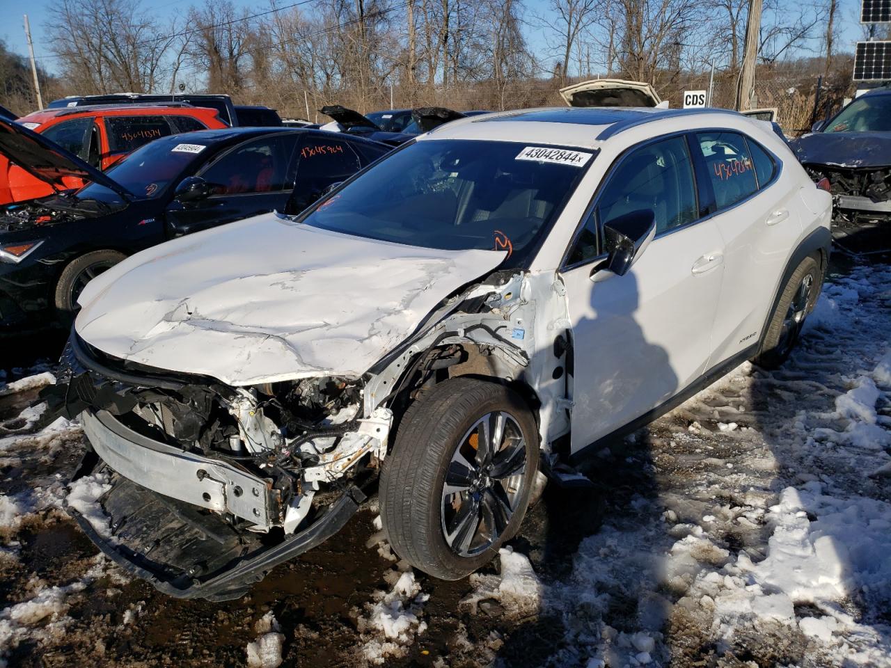 2020 LEXUS UX 250H