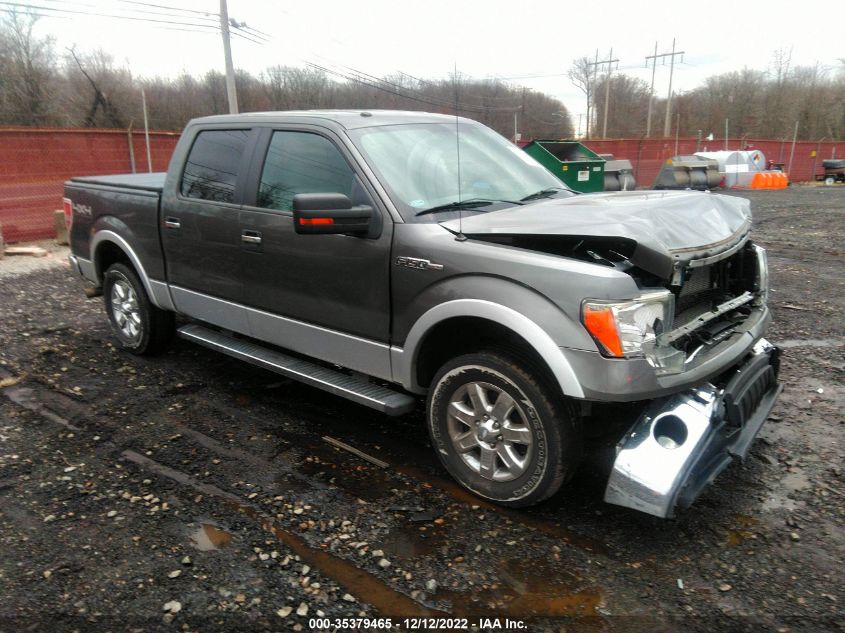 2013 FORD F-150 XLT