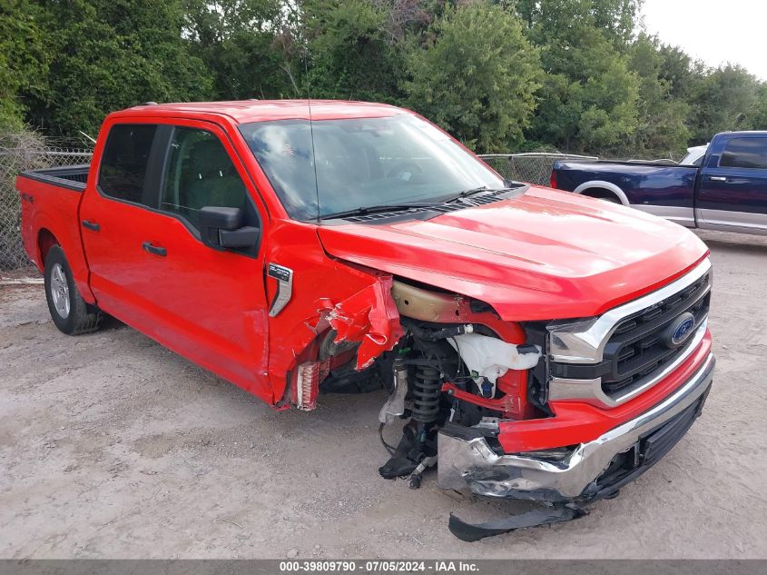 2021 FORD F-150 XLT