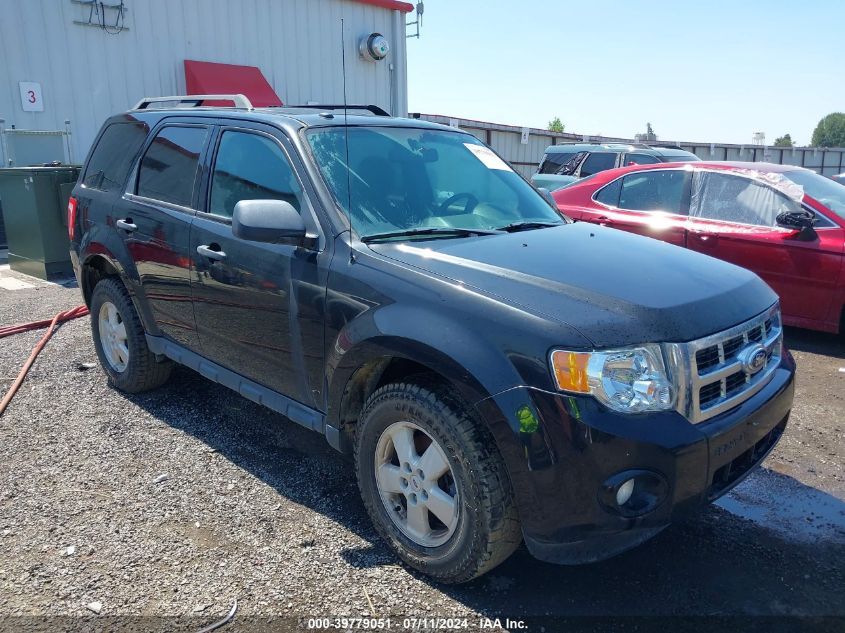 2012 FORD ESCAPE XLT