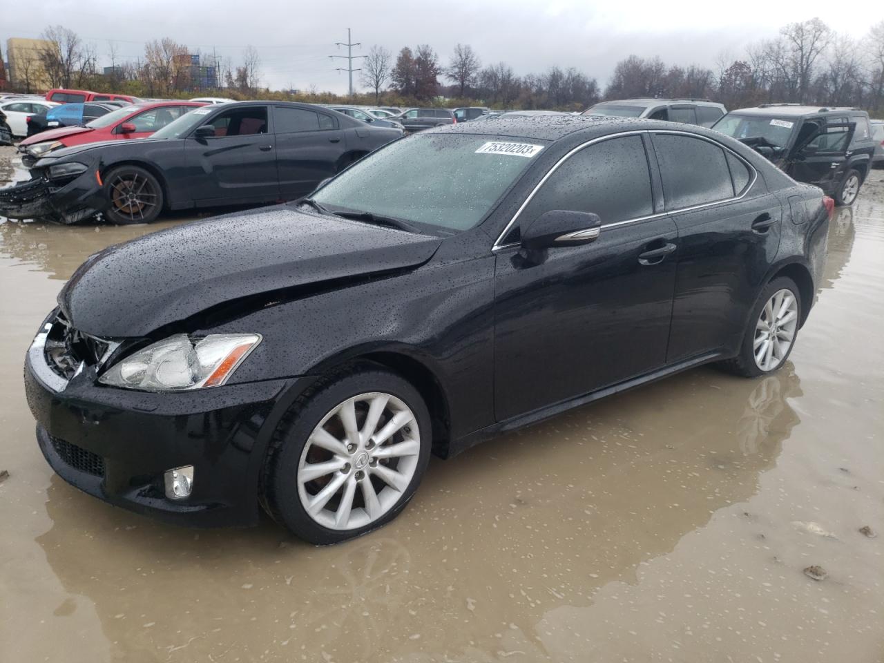 2010 LEXUS IS 250