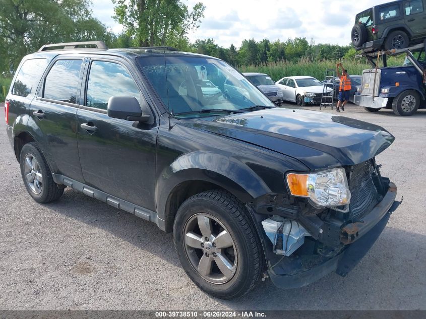 2011 FORD ESCAPE XLT