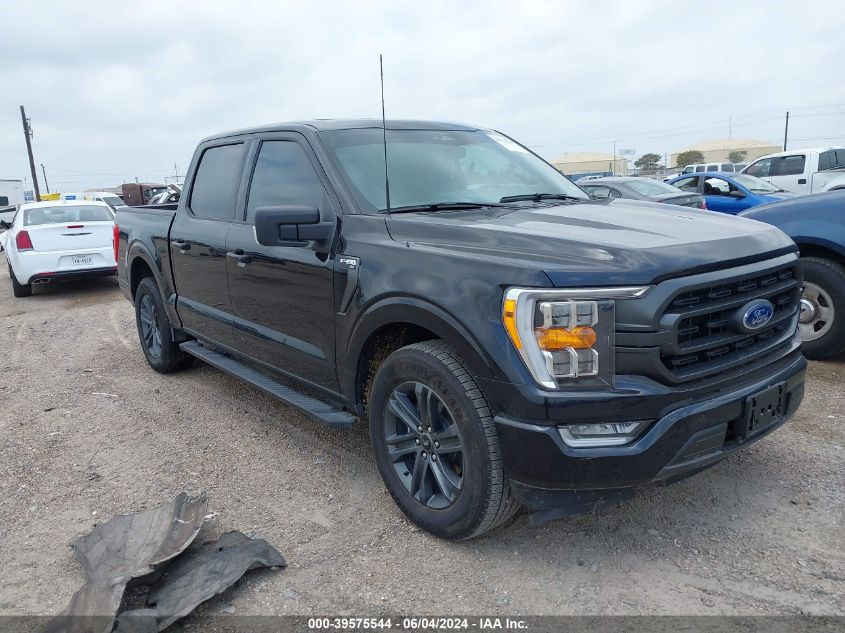 2023 FORD F-150 XLT