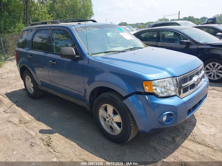 2010 FORD ESCAPE XLT