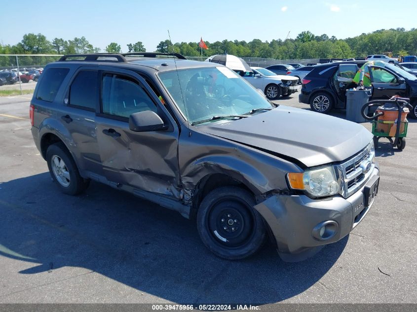 2012 FORD ESCAPE XLT