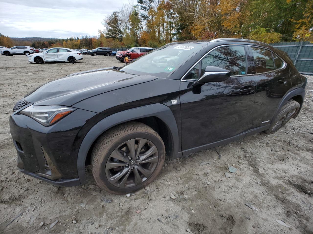 2019 LEXUS UX 250H