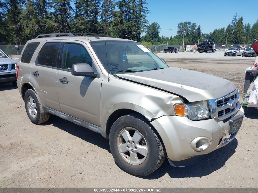 2010 FORD ESCAPE XLT