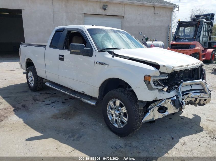 2011 FORD F-150 XLT