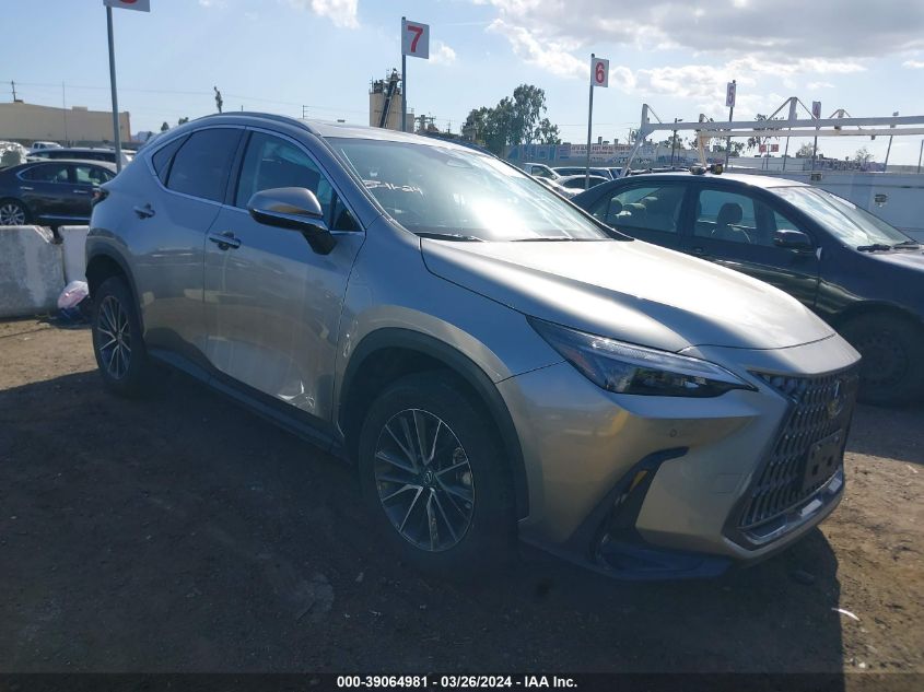 2024 LEXUS NX 250 PREMIUM