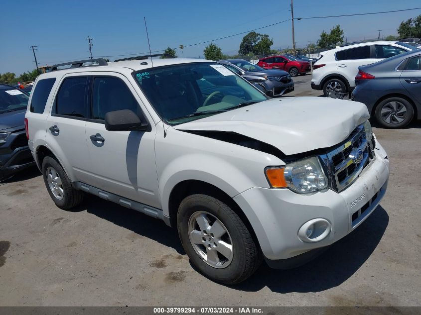 2011 FORD ESCAPE XLT