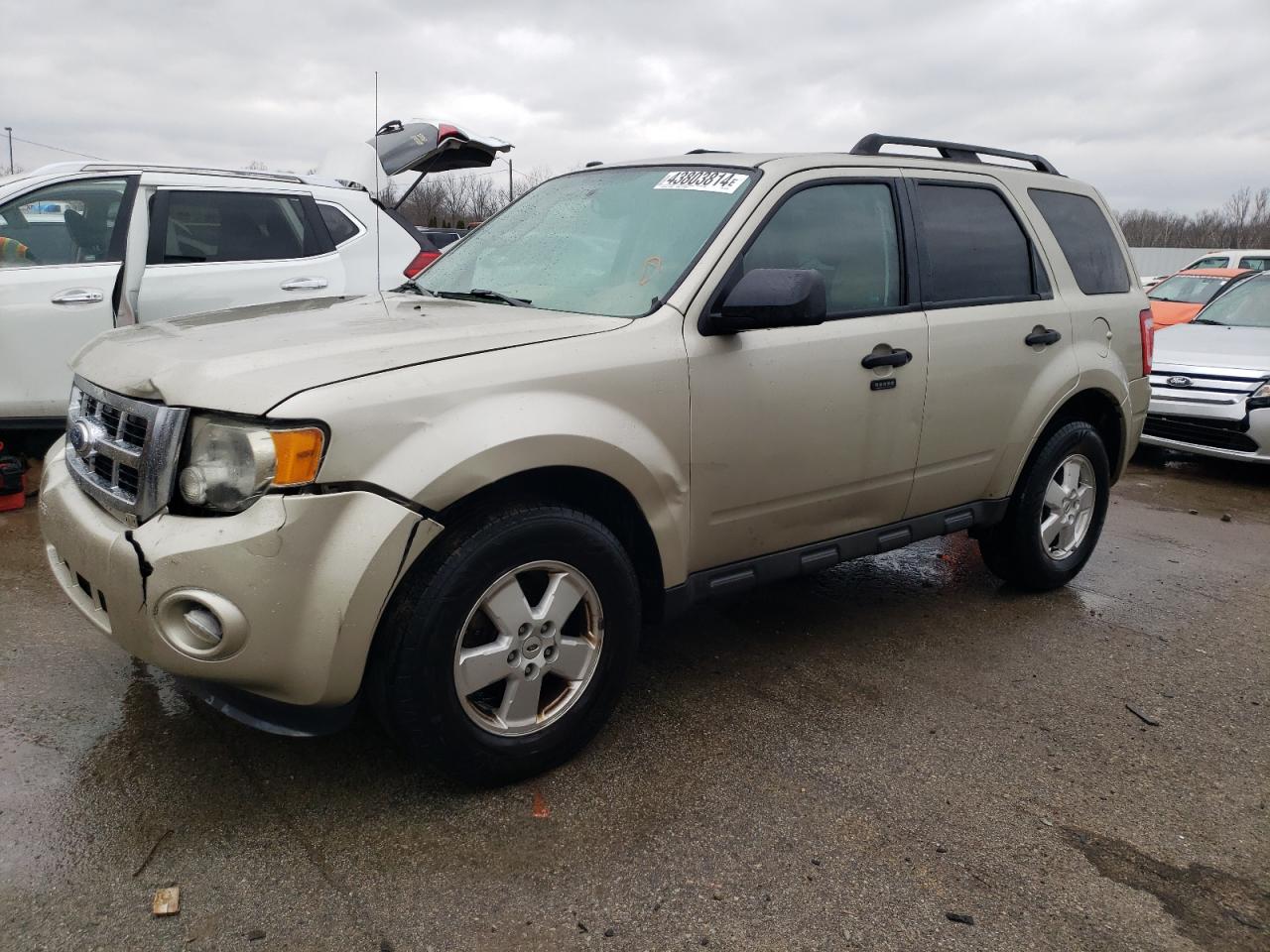 2012 FORD ESCAPE XLT