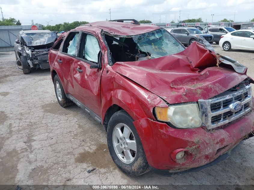 2011 FORD ESCAPE XLT