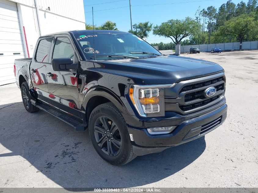 2023 FORD F-150 XLT