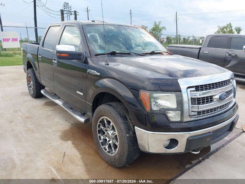 2013 FORD F-150 XLT