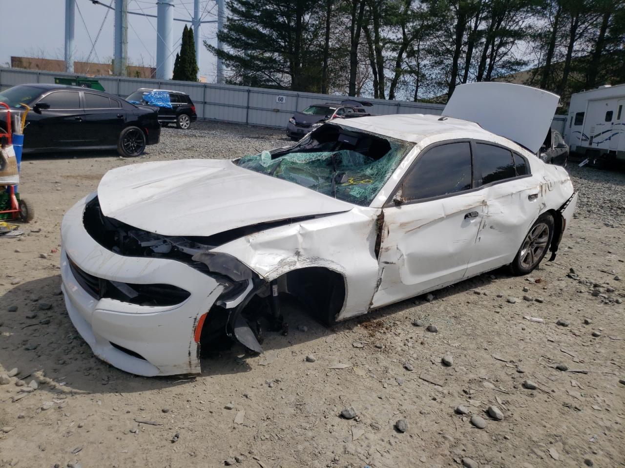 2019 DODGE CHARGER SXT