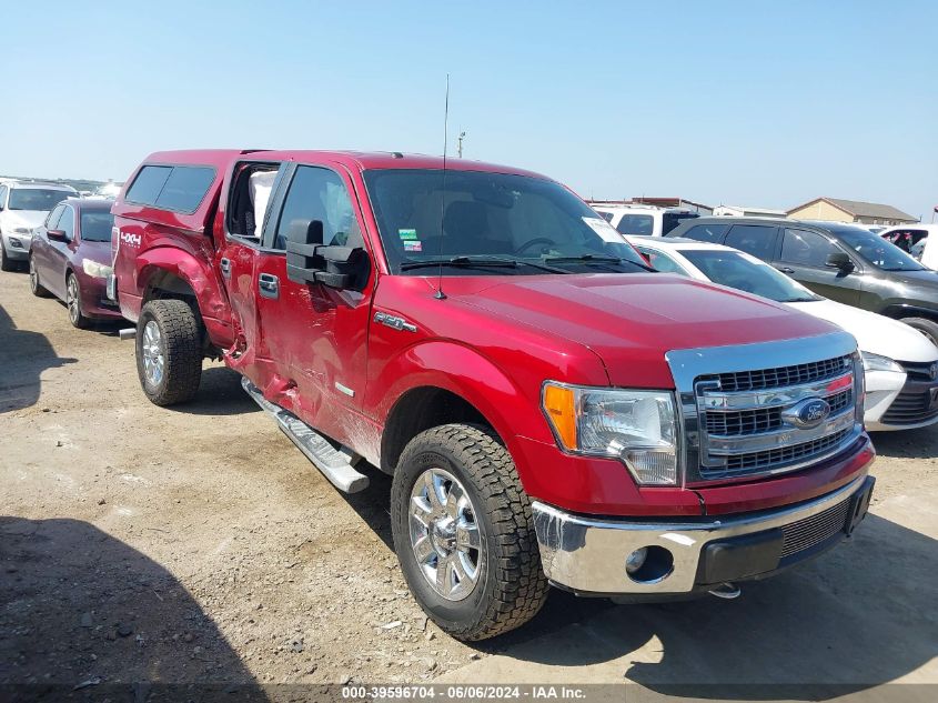 2013 FORD F-150 XLT