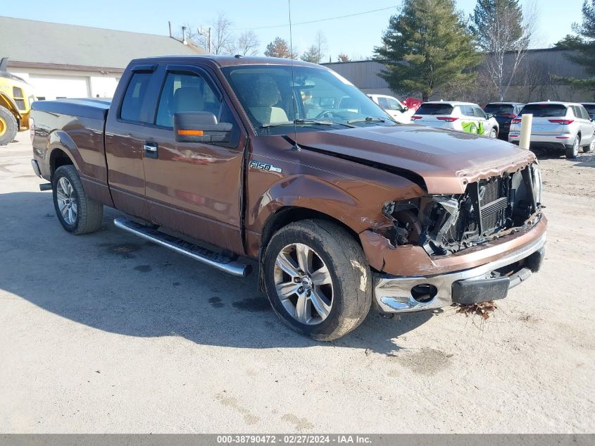 2011 FORD F-150 XLT