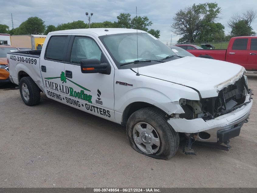 2014 FORD F-150 XLT