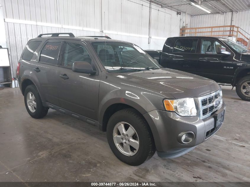 2012 FORD ESCAPE XLT